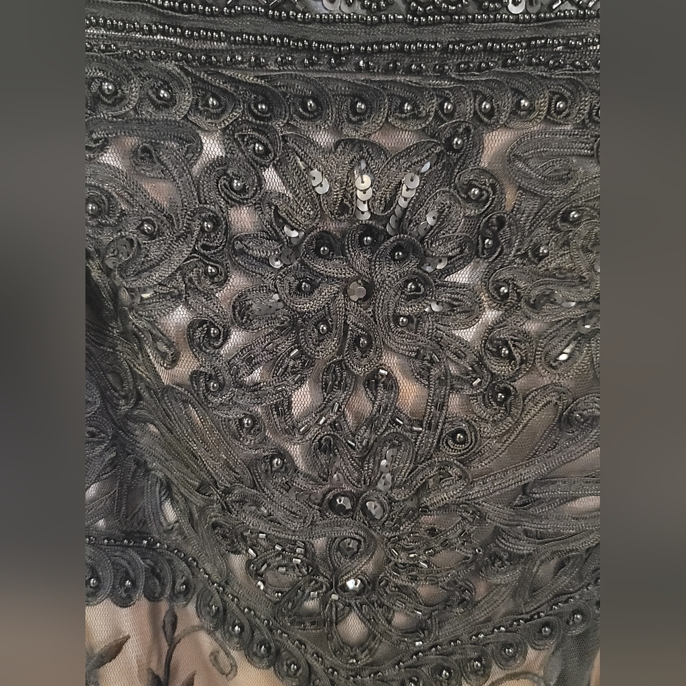 Elegant Black Beaded / Embroidered Dress - Picture 4 of 7